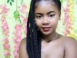 Screen Shot of ameline1